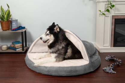 Burrow Dog Bed