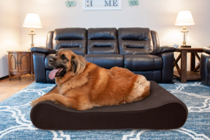 Lounger Dog Bed