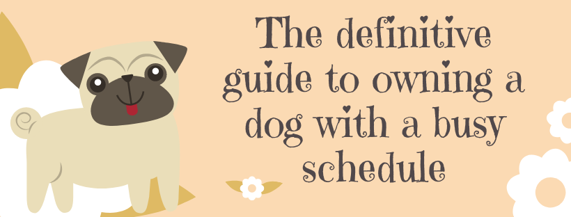owning a dog with a busy schedule