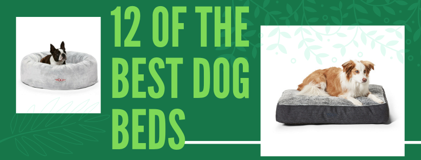 the best dog beds 2019