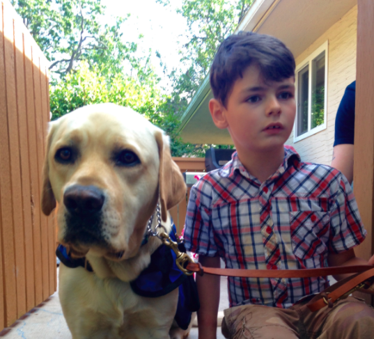 autism guide dogs