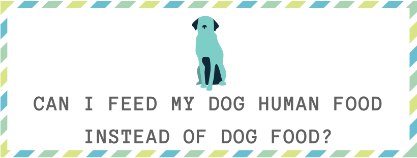 Can i feed my dog human food instead of dog food?