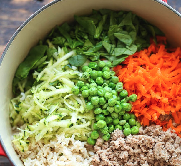 Carrots, Spinach, Zucchini dog food recipe