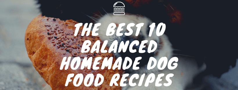Balanced Homemade Dog Food Recipes
