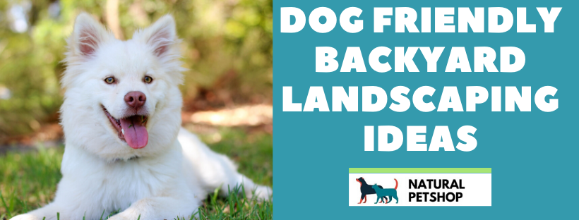 dog friendly backyard landscaping ideas