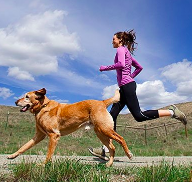 how to make your dog happy and not depressed with exercise