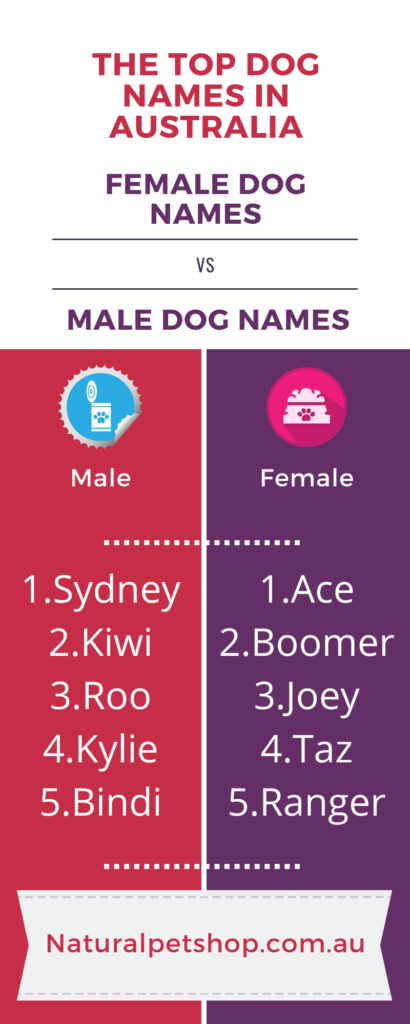 top 10 dog names in australia