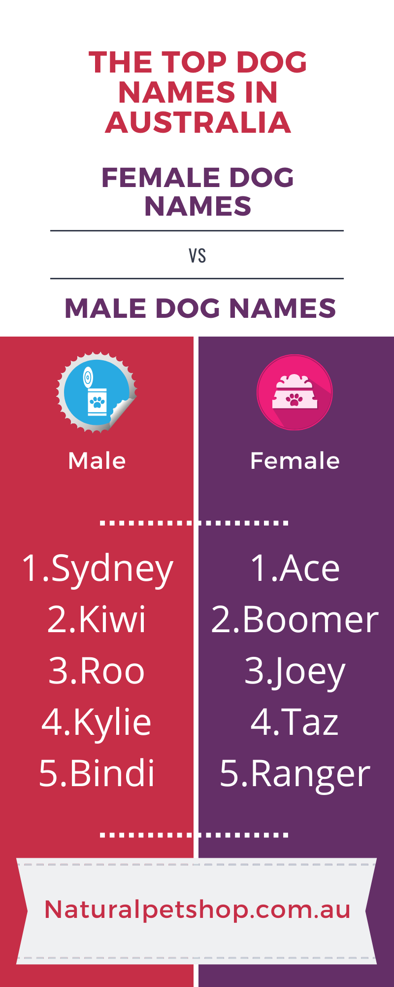 top-ten-dog-names-solving-what-to-call-your-new-dog