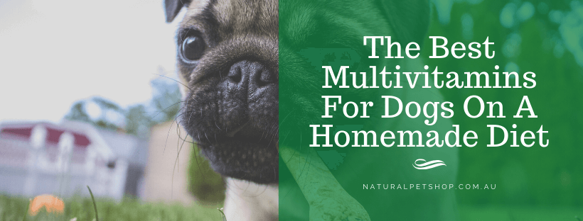 best dog food with vitamins and minerals