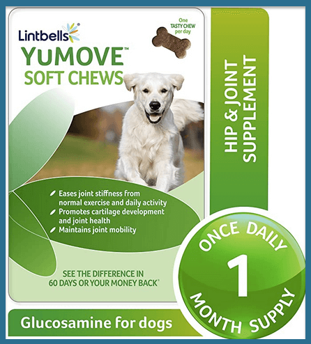  best multivitamin for dogs on homemade diet    