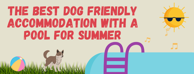 The Best Dog Friendly Accommodation With A Pool For Summer