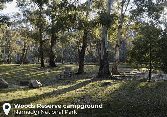 Pet friendly accommodation ACT & Snowy Mountains | Woods reserve