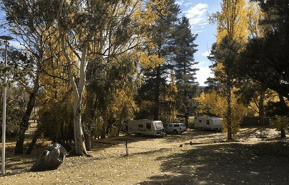 Cooma Tourist Park | Pet friendly accommodation ACT & Snowy Mountains 