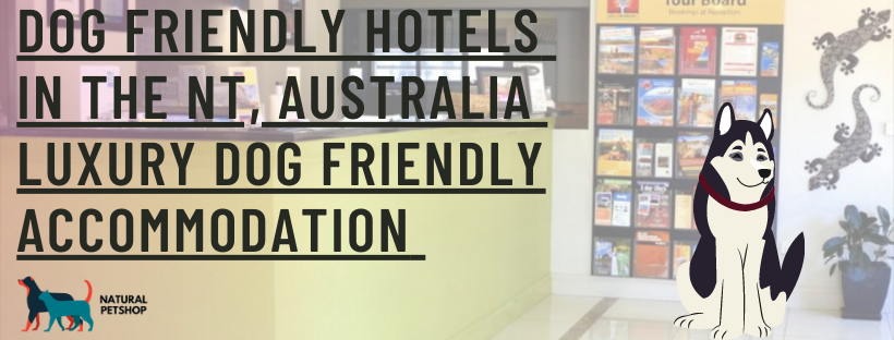 Dog friendly hotels NT - Luxury dog friendly accommodation NT Australia