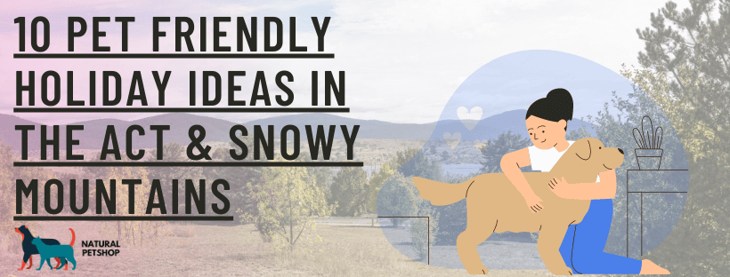 pet friendly accommodation ACT & Snowy Mountains
