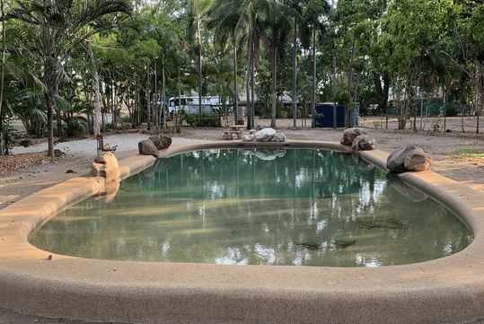 Coolalinga Tourist Park | dog friendly accommodation with pool NT   
