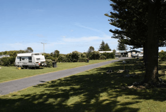 dog friendly camping at Port MacDonnell Foreshore Tourist Park
