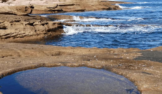 Blue House, Blue View – Streaky Bay (Eyre Peninsula) - dog friendly weekend getaways South Australia