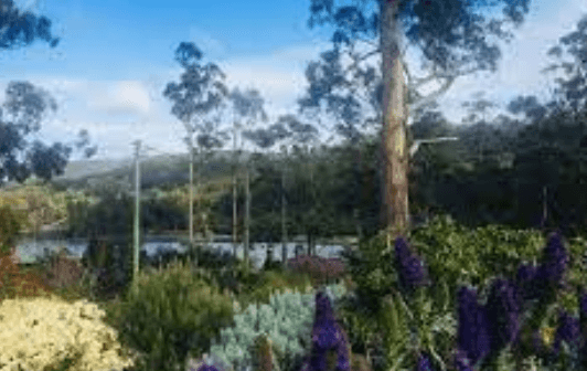 Classic Cottages – Port Arthur - pet friendly hotels Tasmania
