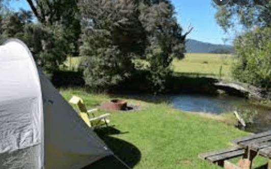 Mole Creek Caravan Park - dog friendly camping TAS
