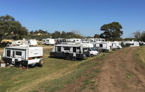 Old Mac’s Caravan & Motorhome Farm Stay - Norwood - pet friendly camping tasmania