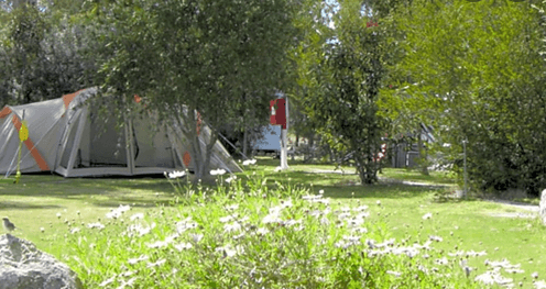 Padthaway Caravan Park – Limestone Coast - Pet friendly accommodation SA