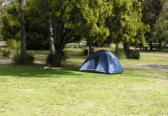 Scamander Tourist Park – Scamander - dog friendly camping TAS