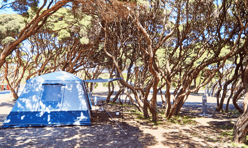Anglesea Family Caravan Park – Great Ocean Road area