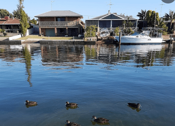 Dolphin View Cottage – South Yunderup (near Mandurah)