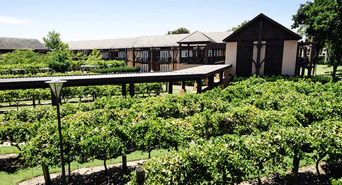 The Vines Resort & Country Club – The Vines (Greater Perth area)