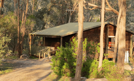The Woolshed Cabins - pet friendly resorts Beechworth