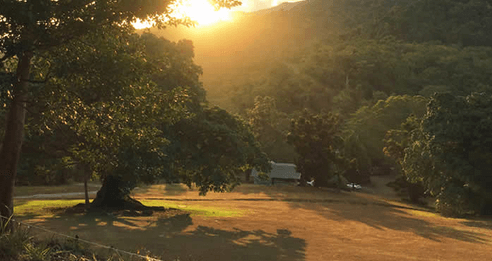 Daintree Rainforest Village