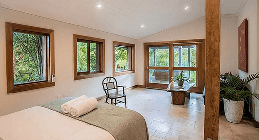 Palm Grove Rainforest Retreat