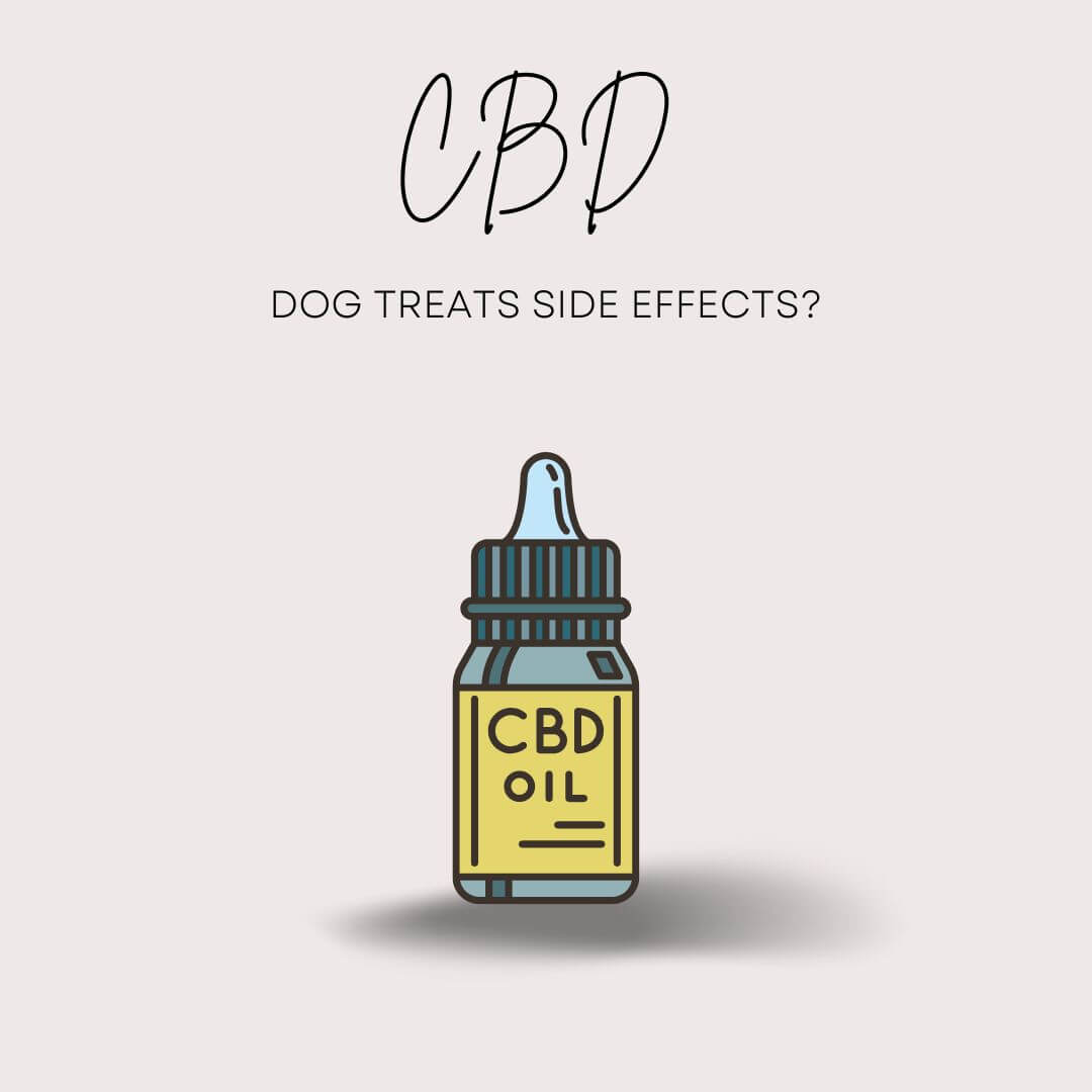What are the CBD dog treats side effects