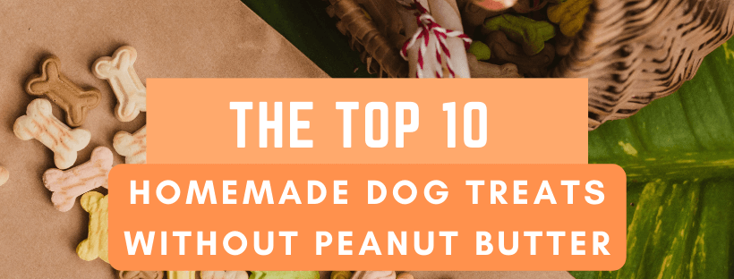 10 Best Homemade Dog Treats Without Peanut Butter