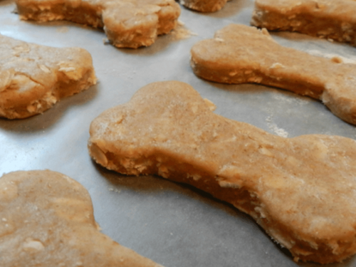 The Top 16 – Homemade Dog Treats With Rolled Oats Mindiampets