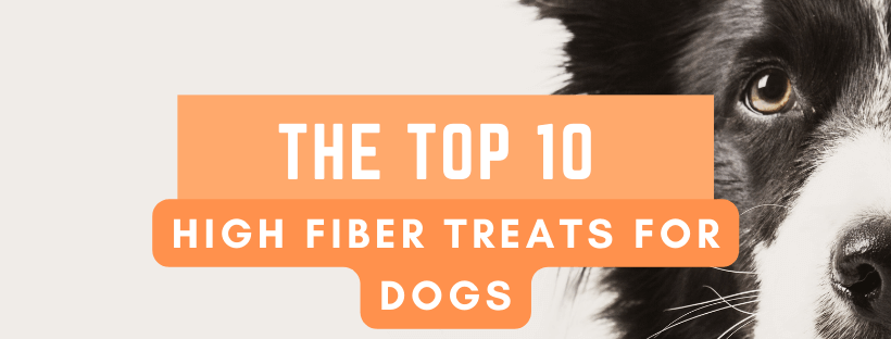 High Fiber Treats For Dogs