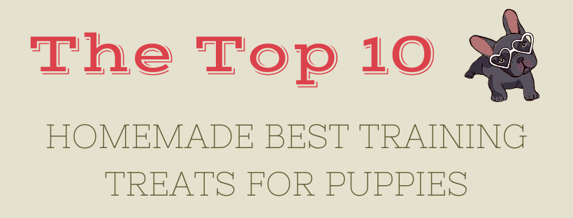 Homemade Best Training Treats For Puppies