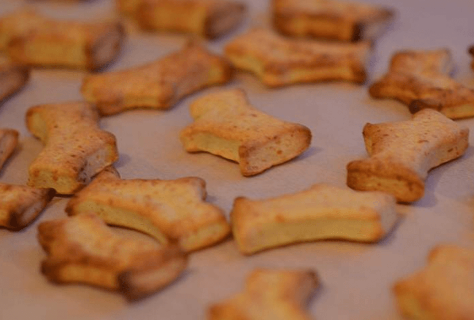 Swiss Cheese on Rye Dog Biscuits – Home Made Dog Food Recipe