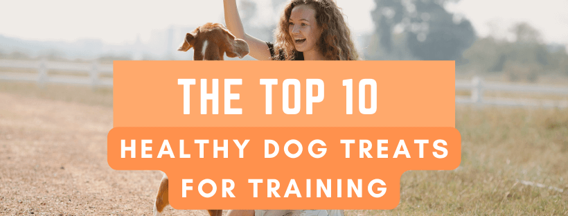 The 10 best homemade healthy dog treats for training