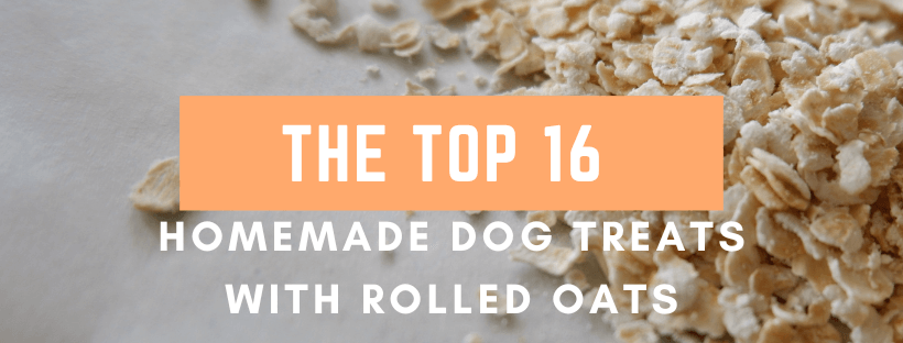 The Top 16 – Homemade dog treats with rolled oats