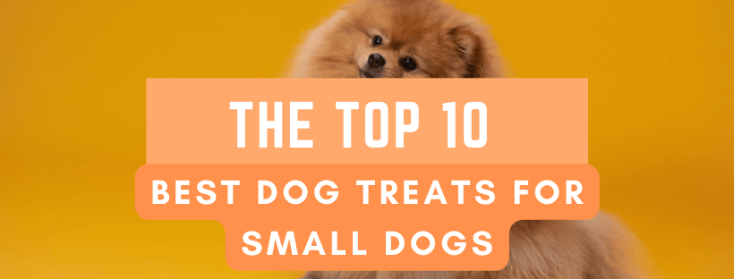 best dog treats for small dogs