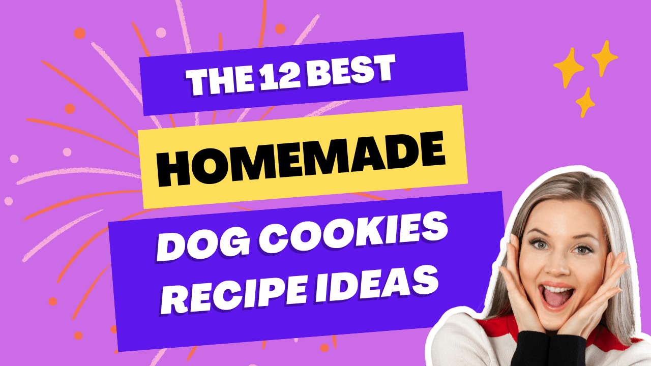 homemade Dog Cookies Recipe Ideas