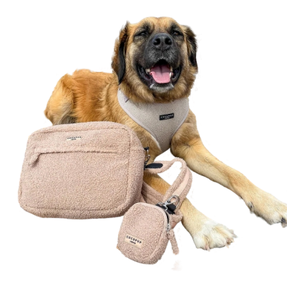 Cocopup London Zip Treat Pouch - Teddy Rupert | Dog Training Essentia