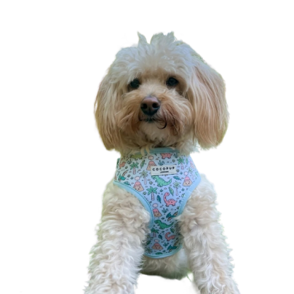Cocopup London Dinopaws Dog Collar, Adjustable Neoprene Padded, XS-L Sizes, Dinosaur Print (Extra Small)
