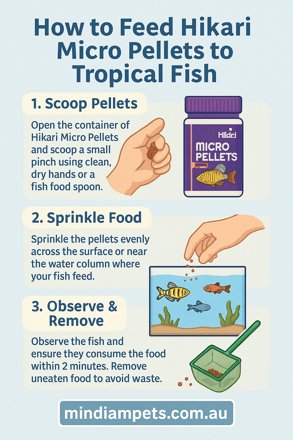 Step-by-Step Guide – Feeding Hikari Micro Pellets to Tropical Fish - Mindiampets | Pet Shop Online How to feed Hikari Micro Pellets to tropical fish - 3 step guide by mindiampets.com.au