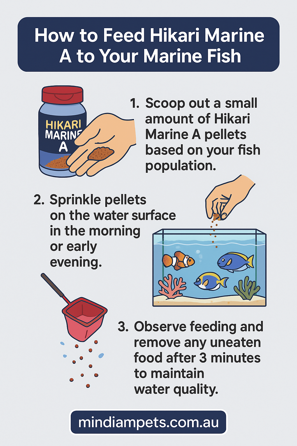 How to Feed Hikari Marine A Pellets – Step-by-Step Guide | Mindiampets.com.au - Mindiampets | Pet Shop Online Step-by-step guide on how to feed Hikari Marine A pellets to marine aquarium fish – mindiampets.com.au