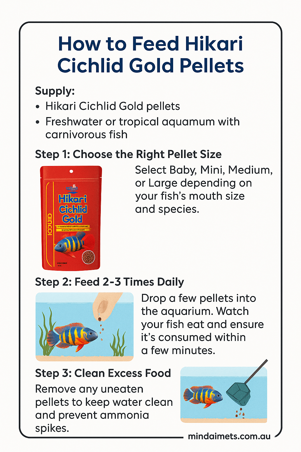 How to Feed Hikari Cichlid Gold Pellets - Mindiampets | Pet Shop Online Step-by-step guide to feeding Hikari Cichlid Gold pellets to carnivorous aquarium fish