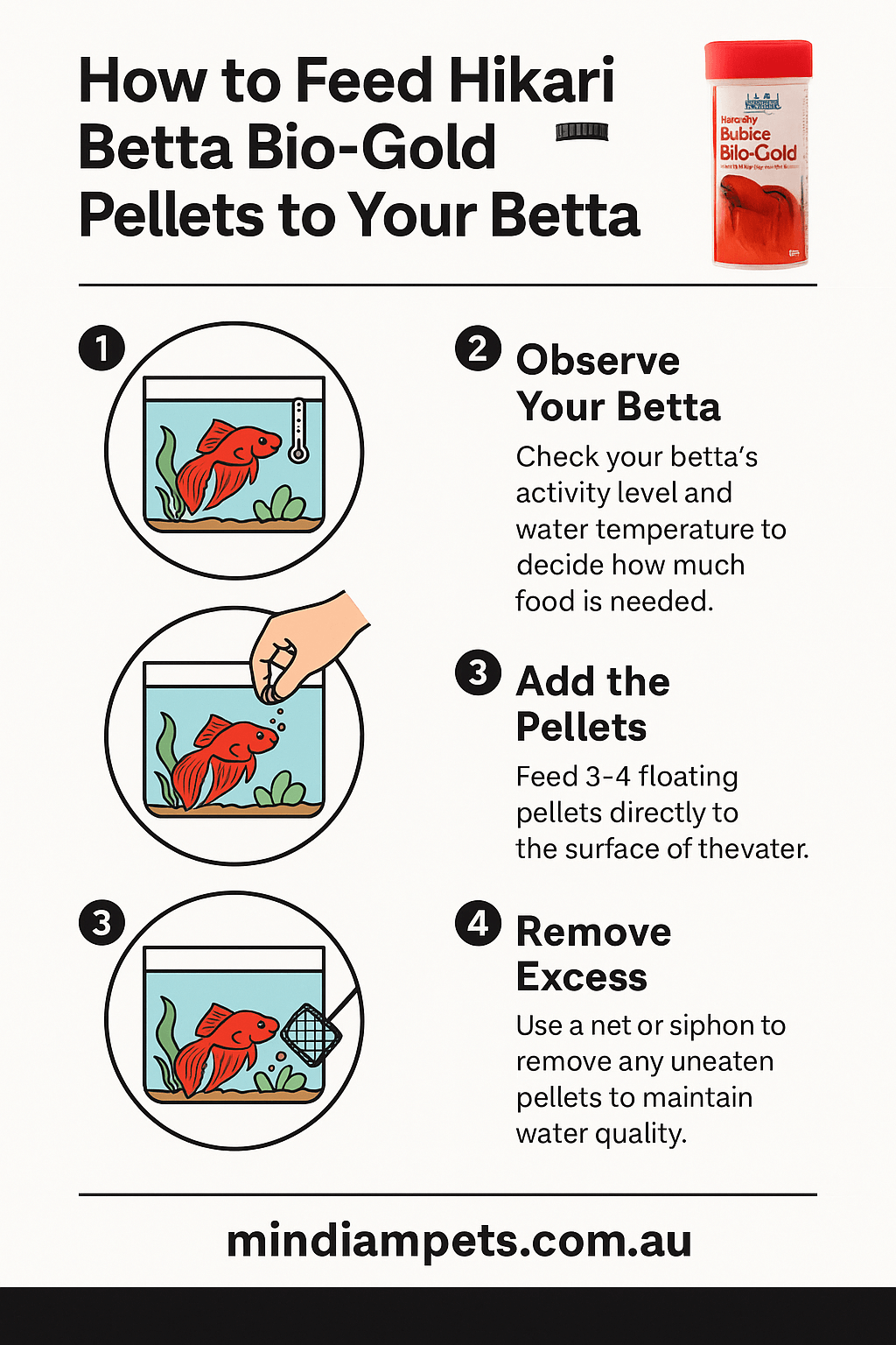 How to Feed Hikari Betta Bio-Gold Pellets to Your Betta – Infographic Guide - Mindiampets | Pet Shop Online Step-by-step infographic on how to feed Hikari Betta Bio-Gold Pellets to Betta fish