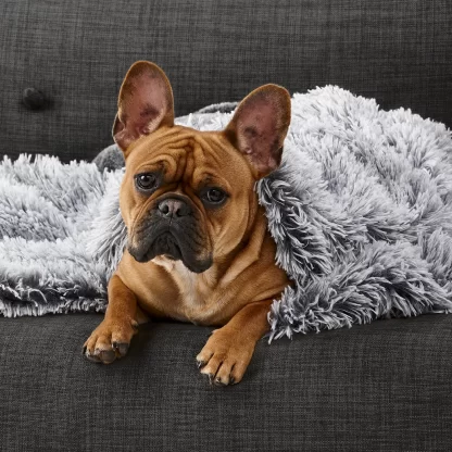 Snooza Calming Cuddler Blanket – Chinchilla & Silver Fox, Reversible, Plush Dog Blanket, Small & Large Sizes – Mindiampets.com.au